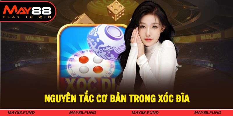 Nguyên tắc tham gia xóc đĩa chuẩn xác và hiệu quả